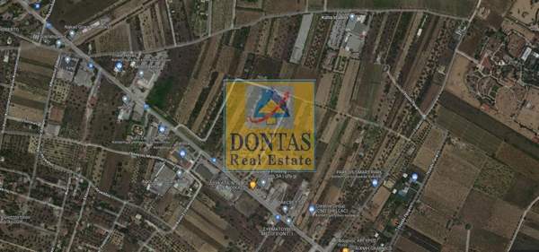 תמונת ספטה ארטמידה למכירה (1)