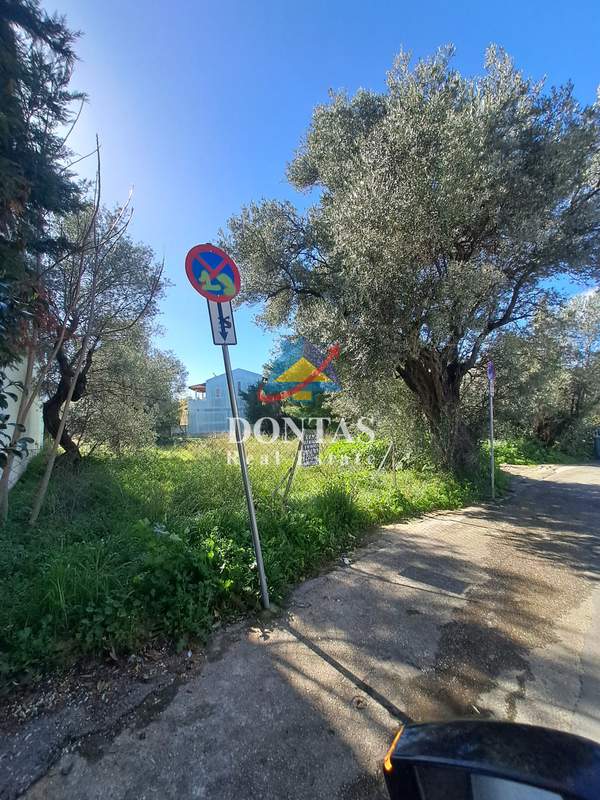 תמונת קיפיסיה, אתונה למכירה (1)