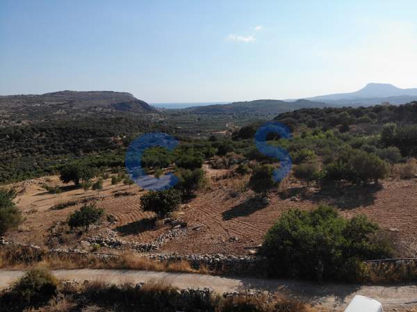 תמונת אפוקורנס למכירה