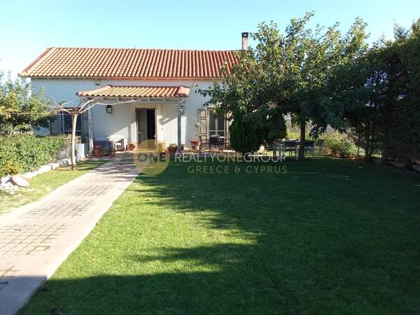 תמונת מרקו פולו, אתונה למכירה (1)