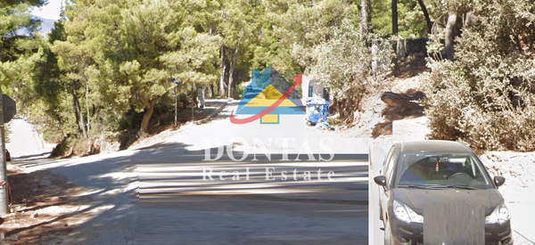 תמונת דיוניסוס למכירה (1)