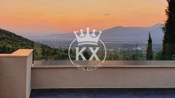 תמונת קיפיסיה למכירה (0)