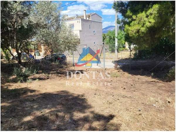 תמונת קיפיסיה, אתונה למכירה (0)