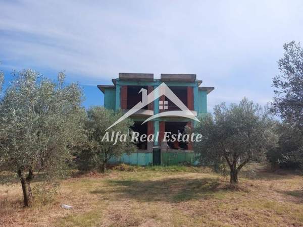 תמונת תרמיקוס למכירה (1)