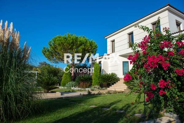 תמונת זקינתוס למכירה (0)