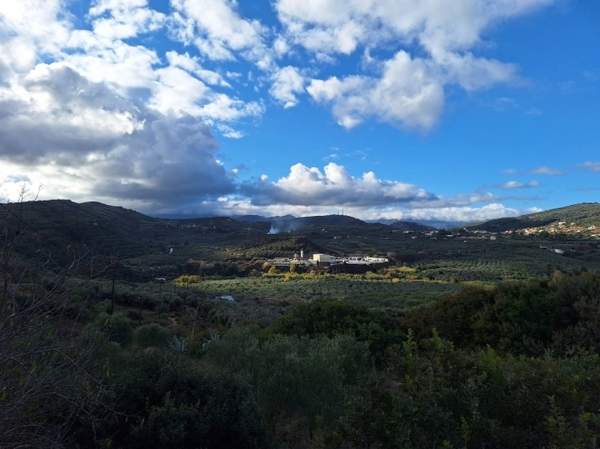 תמונת פלטניאס, כרתים למכירה