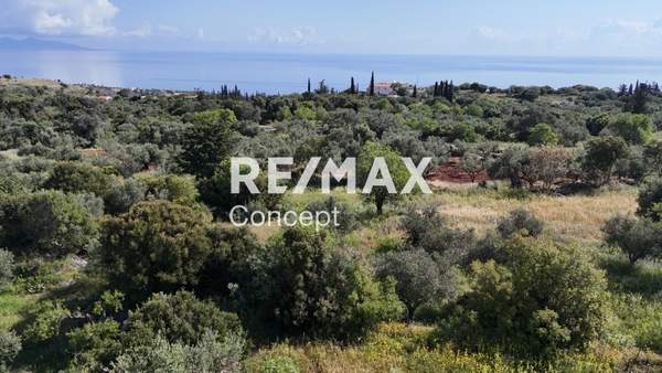 תמונת רשות מקומית זקינתוס למכירה (0)