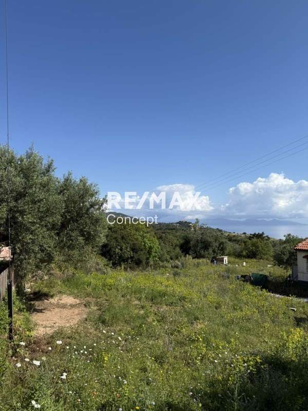 תמונת רשות מקומית זקינתוס למכירה (1)