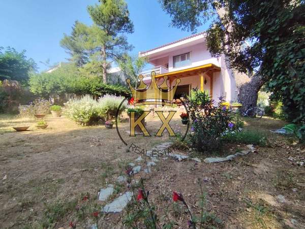 תמונת קיפיסיה למכירה (1)