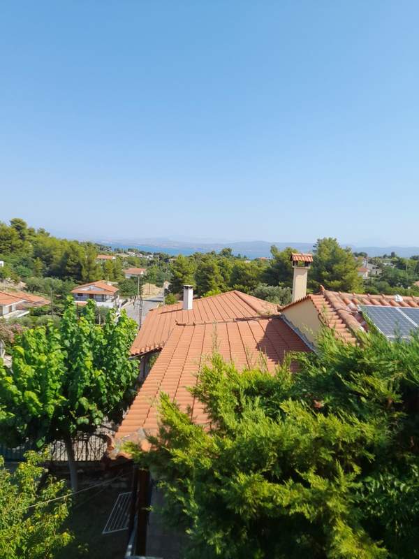 תמונת אורופוס, אתונה למכירה (0)