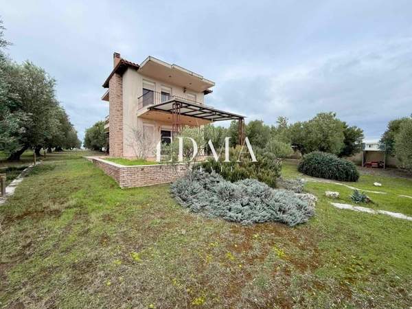 תמונת נאה פרופונדיטה, כלקידיקי למכירה (0)