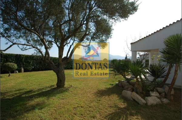 תמונת מרקו פולו, אתונה למכירה (1)