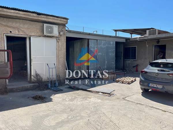 תמונת טברוס, אתונה למכירה (0)