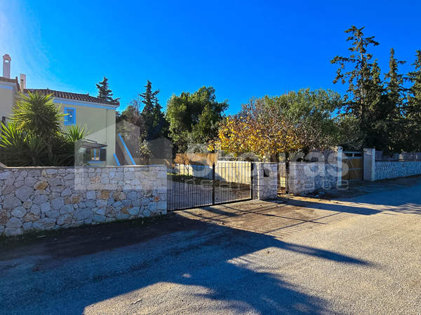 תמונת ארמיונידה למכירה (0)