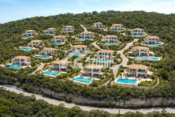 תמונת אומוניה, אתונה למכירה