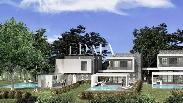 תמונת קסנדרה, כלקידיקי למכירה (0)