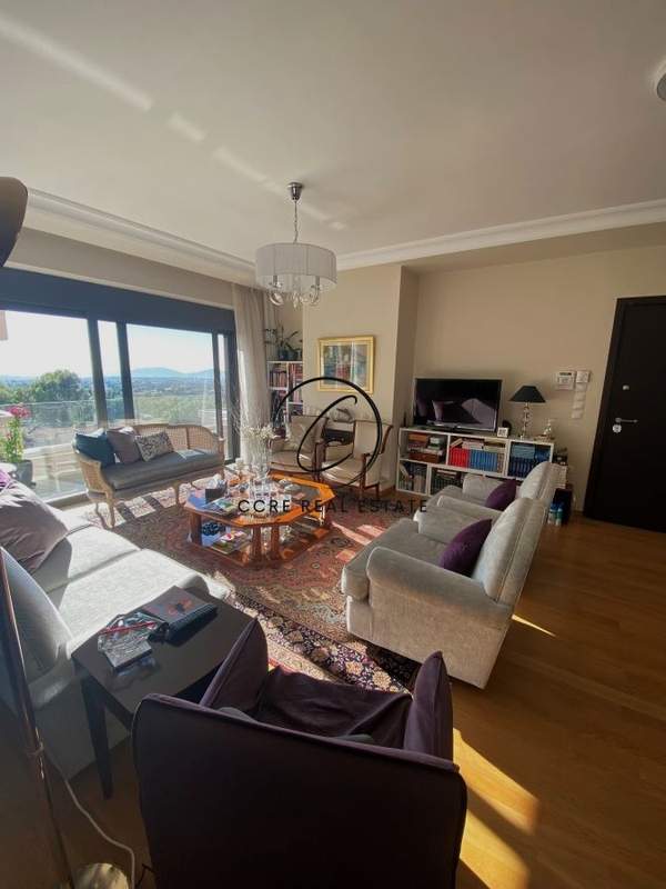 תמונת קיפיסיה, אתונה למכירה (0)