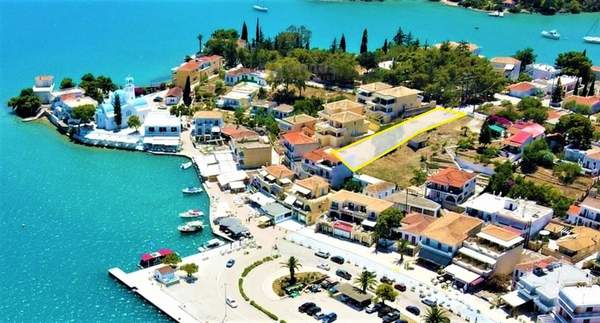 תמונת ארמיונידה למכירה (1)