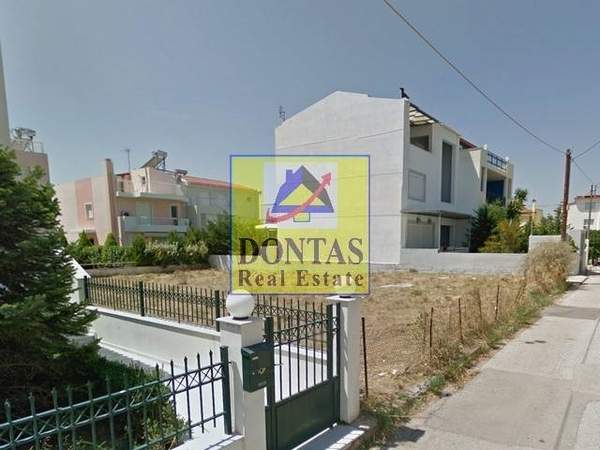 תמונת ואריליסיה למכירה (0)