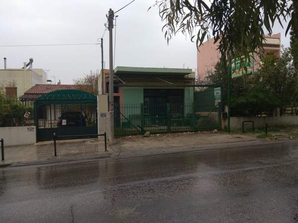 תמונת אכרניס, אתונה למכירה (0)