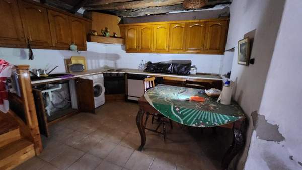 תמונת נאה פרופונדיטה למכירה (1)