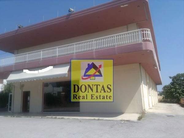 תמונת לוטרקי, לוטראקי למכירה (1)