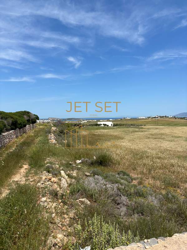 תמונת פארוס למכירה (1)