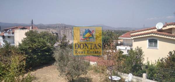 תמונת דיוניסוס, אתונה למכירה (1)