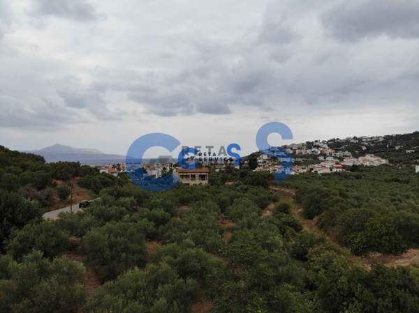 תמונת אפוקורנס למכירה (0)