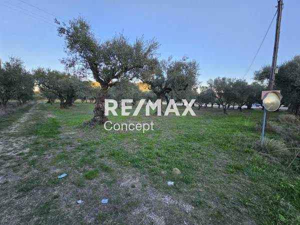 תמונת זקינתוס למכירה (1)