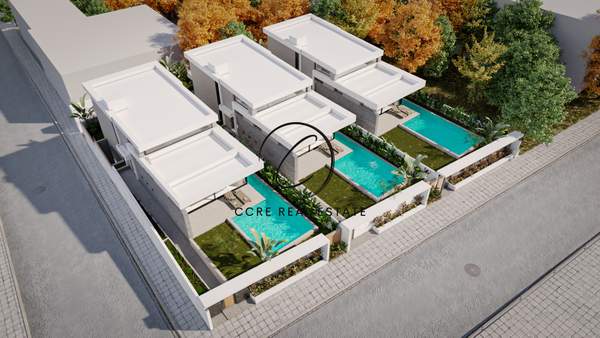 תמונת וארי, וארי - וולה -ווליאגמני למכירה