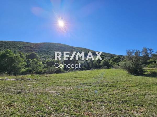 תמונת זקינתוס למכירה (1)