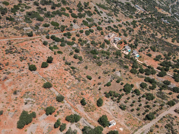 תמונת אגיוס ניקולאוס , כרתים למכירה (1)