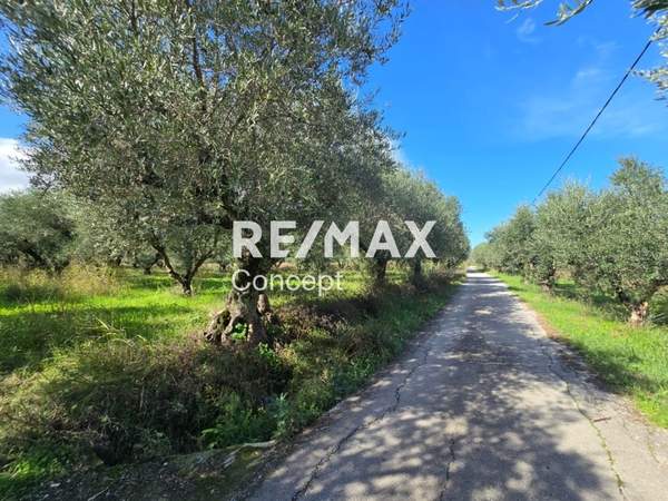 תמונת רשות מקומית זקינתוס למכירה (1)