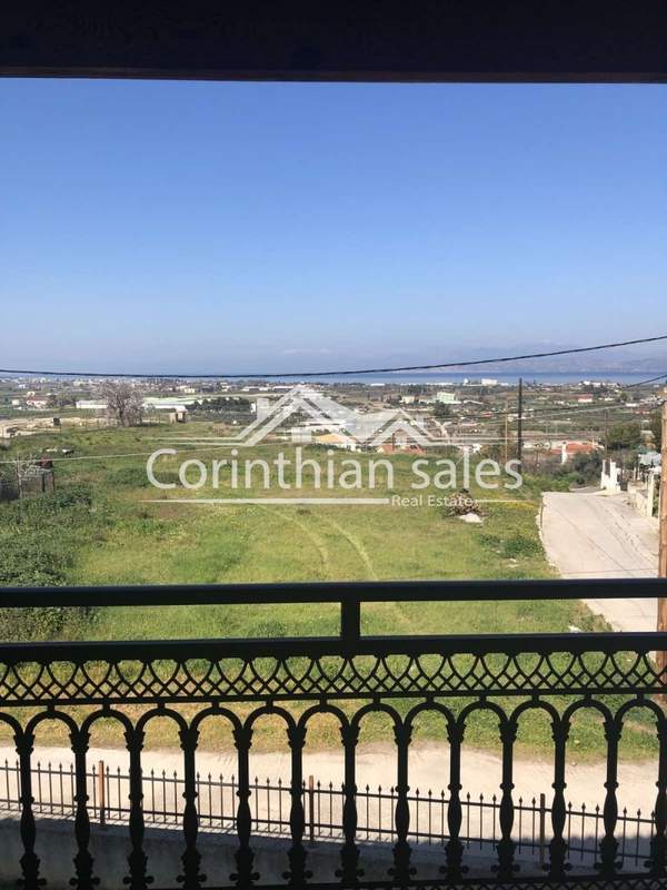 תמונת קורינתיה, פלופונס למכירה (0)