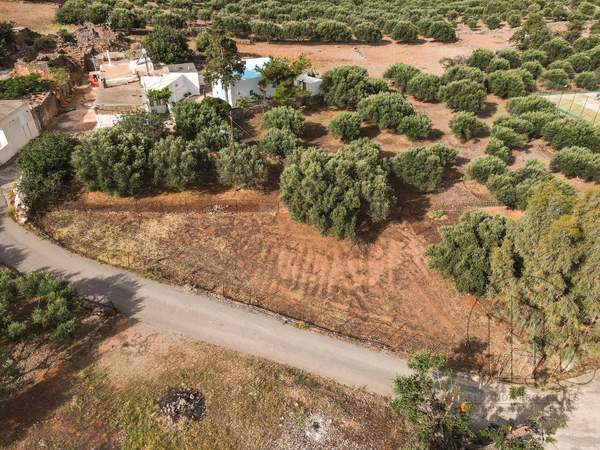 תמונת אגיוס ניקולאוס , כרתים למכירה (1)