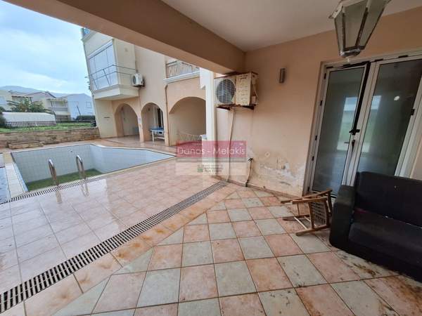 תמונת אפוקורנס למכירה (0)