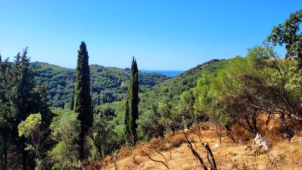 תמונת קורפו למכירה (0)