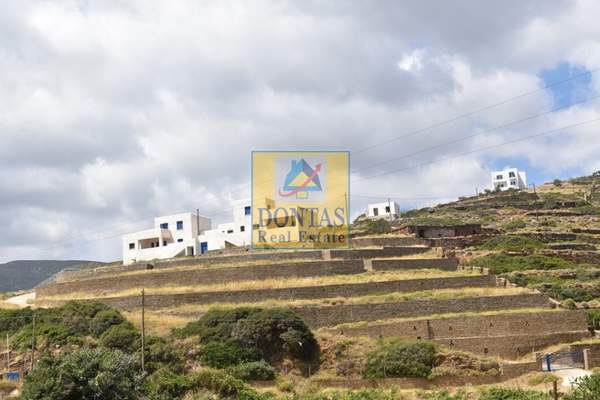 תמונת אנדרוס למכירה (1)