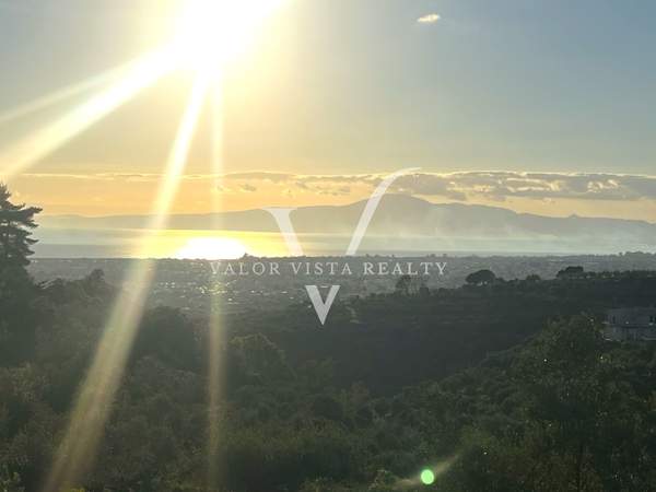 תמונת קאלמטה, פלופונס למכירה (0)