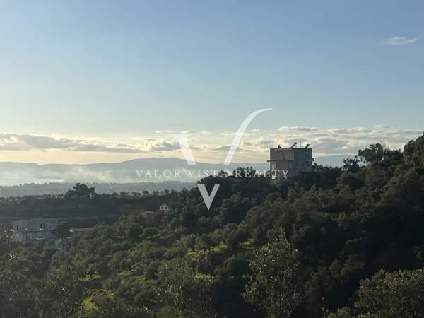 תמונת קאלמטה, פלופונס למכירה (1)