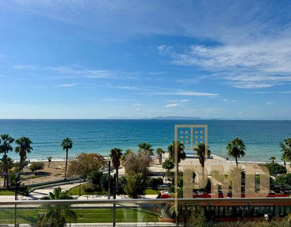 תמונת פאליו פאלירו למכירה (0)