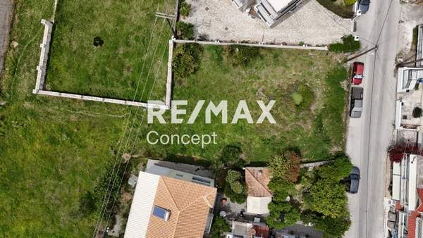 תמונת זקינתוס למכירה (1)