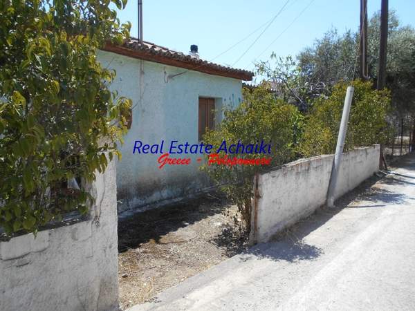 תמונת איגאליאה, פלופונס למכירה