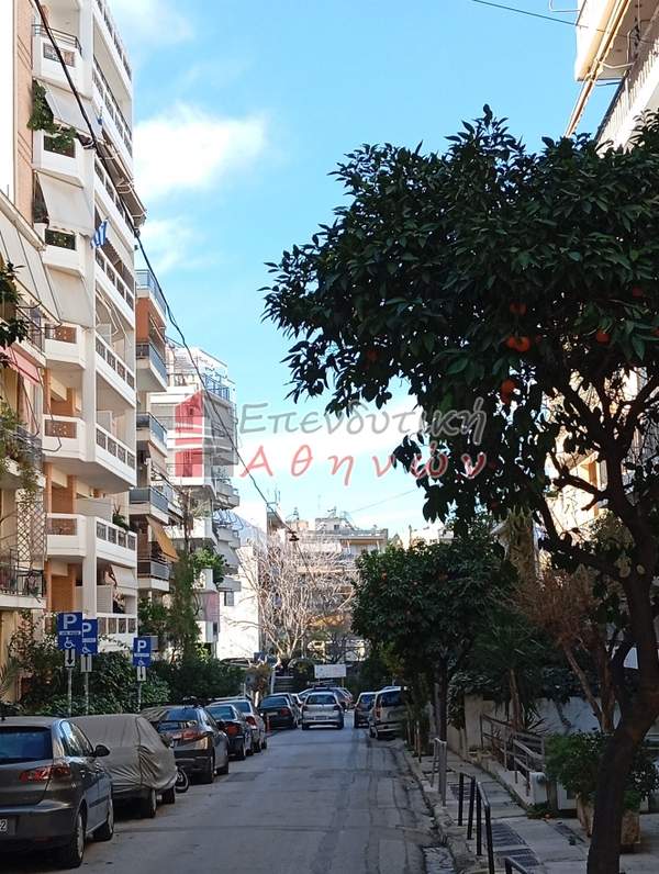 תמונת זוגרפו למכירה (1)