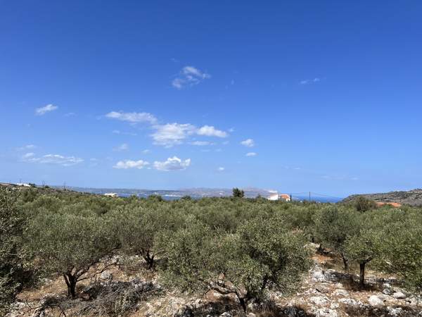 תמונת אפוקורנס, כרתים למכירה (1)