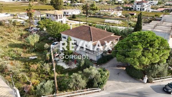 תמונת זקינתוס למכירה (0)