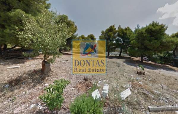 תמונת מליסייה, אתונה למכירה (0)