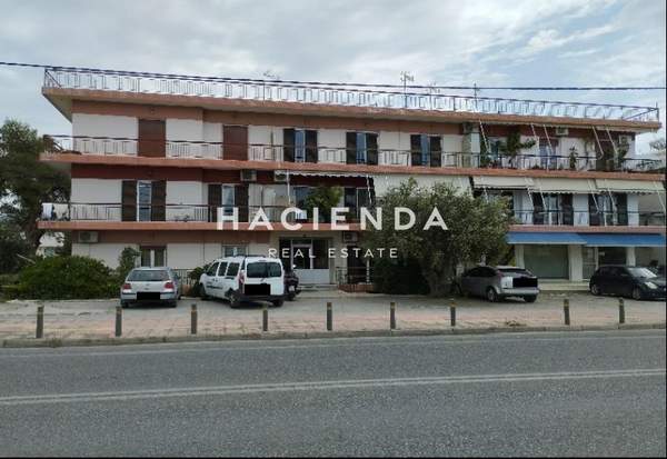 תמונת אלפסינה למכירה (1)