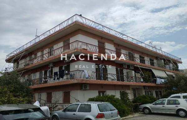 תמונת אלפסינה למכירה (0)